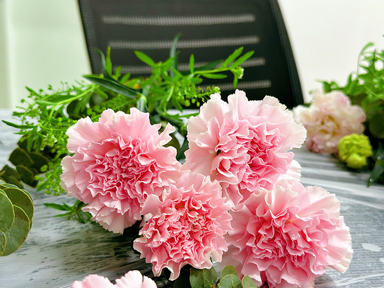 三八婦女節丨祝福所有女人：愿你笑靨如花，一生不減芳華！