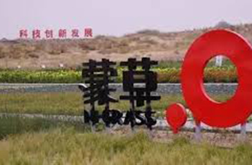 內(nèi)蒙古總結(jié)創(chuàng)業(yè)孵化器平臺(tái)建設(shè)工作，取得可喜成績(jī)