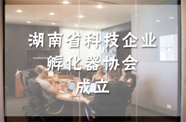 湖南省科技企業(yè)孵化器協(xié)會(huì)成立