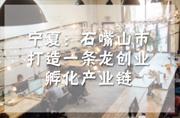 寧夏：石嘴山市打造一條龍創(chuàng)業(yè)孵化產(chǎn)業(yè)鏈